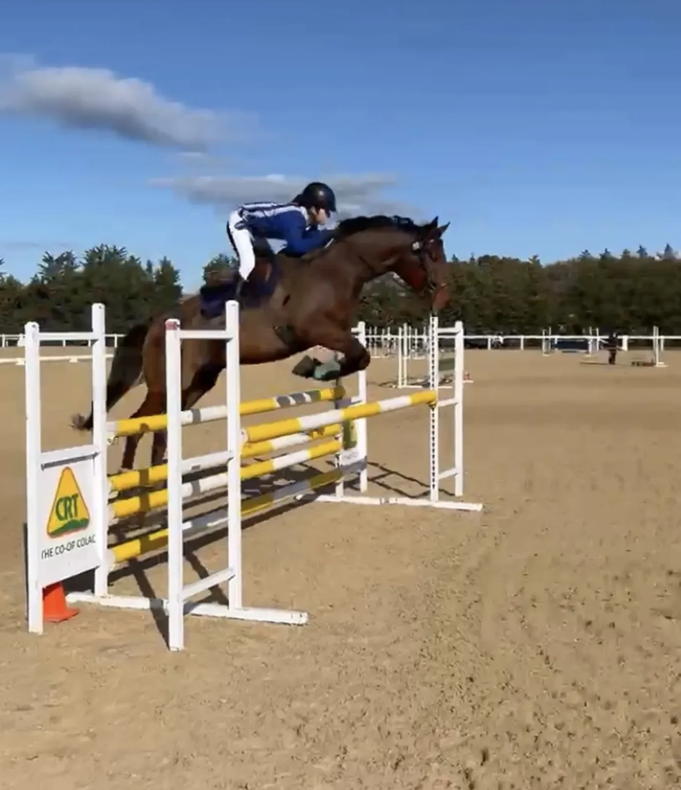 Alanni and Nicantellya