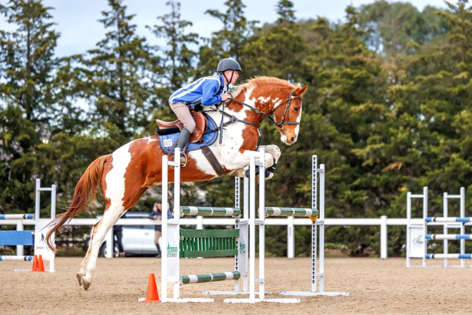 Lincoln and Ninja Warrior GF.3