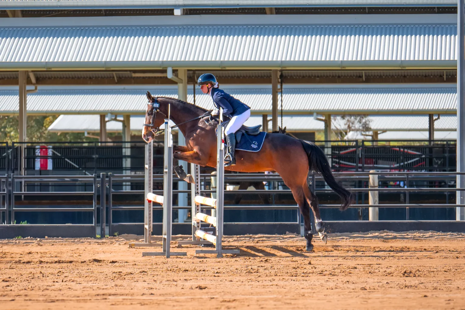 Tamsyn Harvey and Misty Night x2